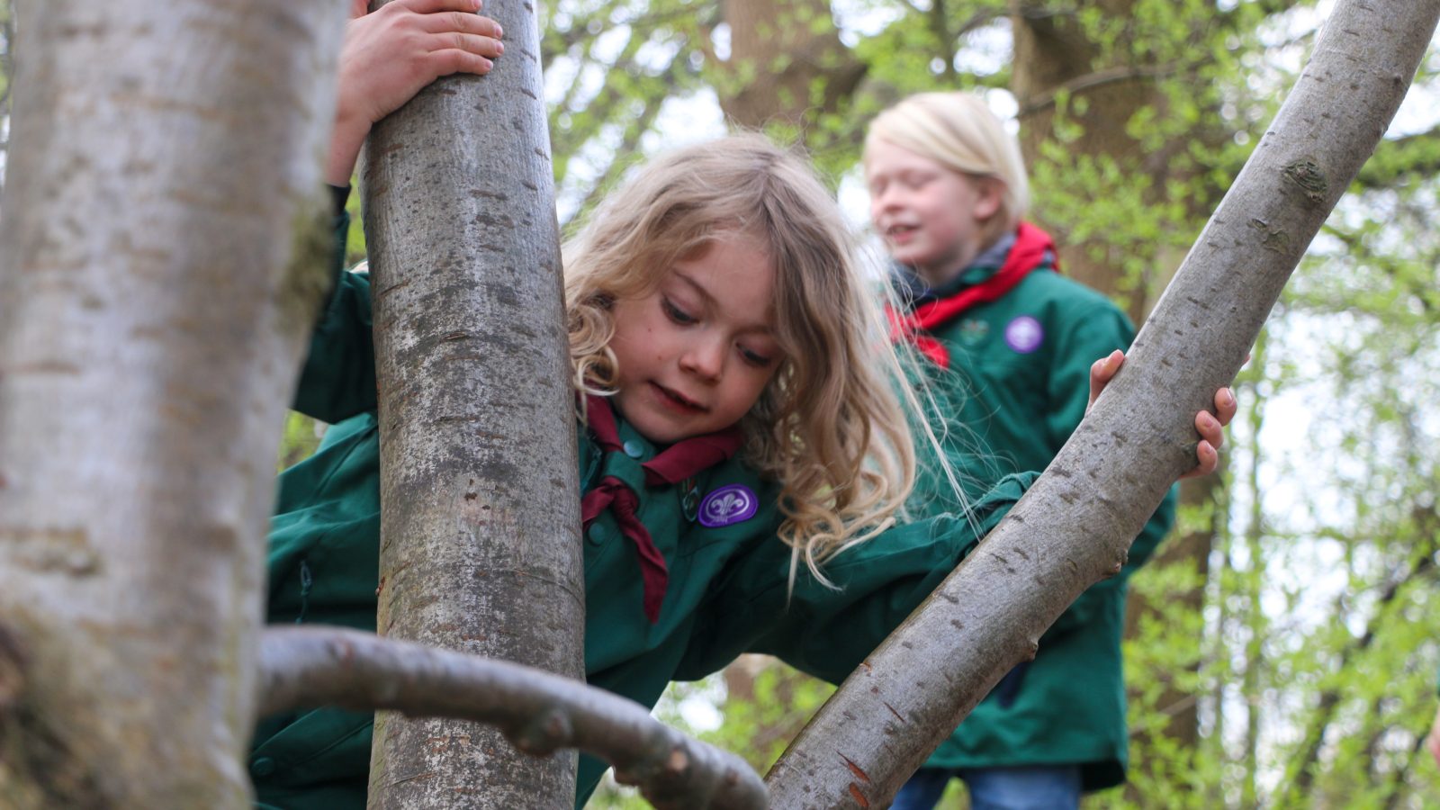Drenge, der klatrer i træ