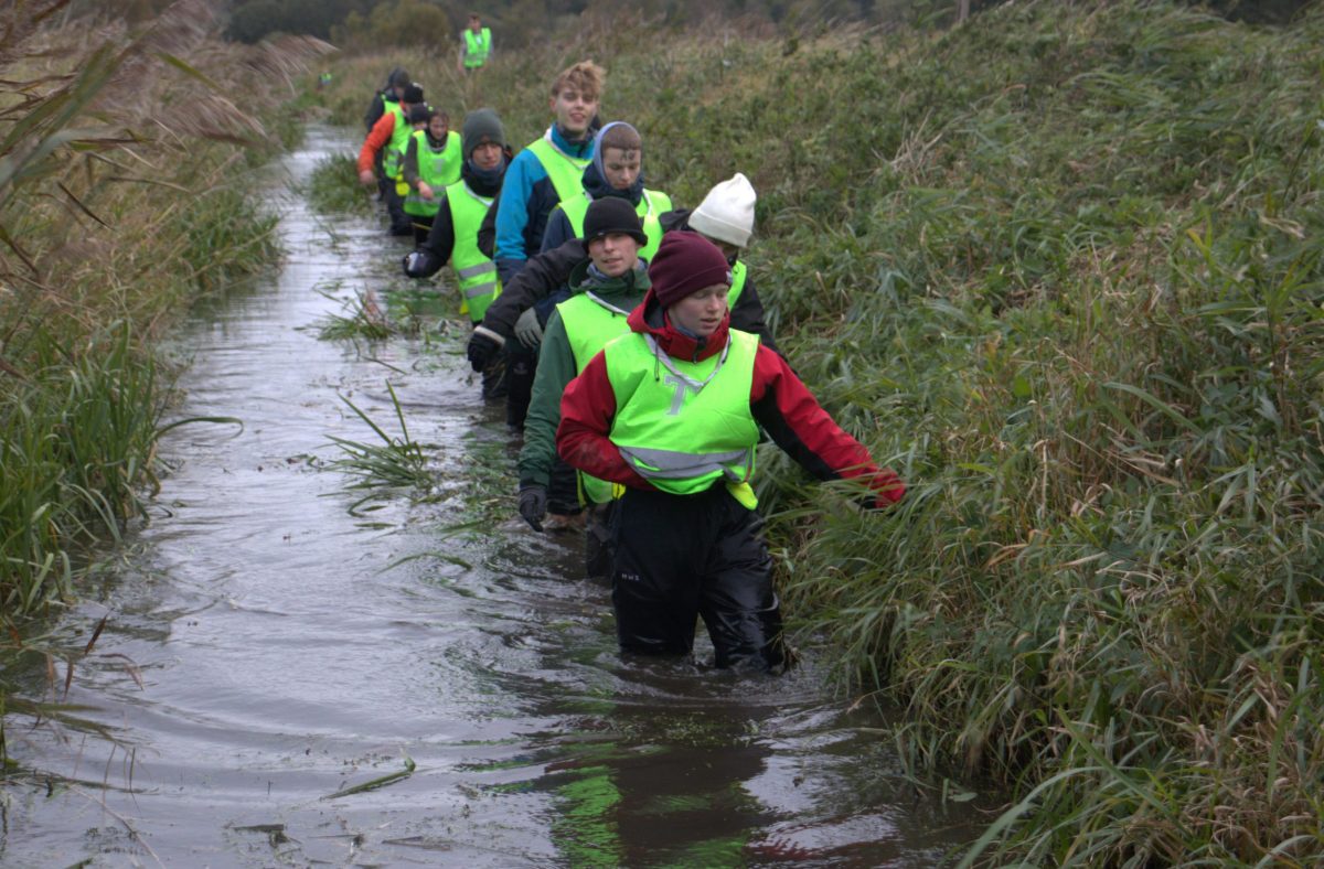 Diamant Extrem 176 Diamant Extrem 176