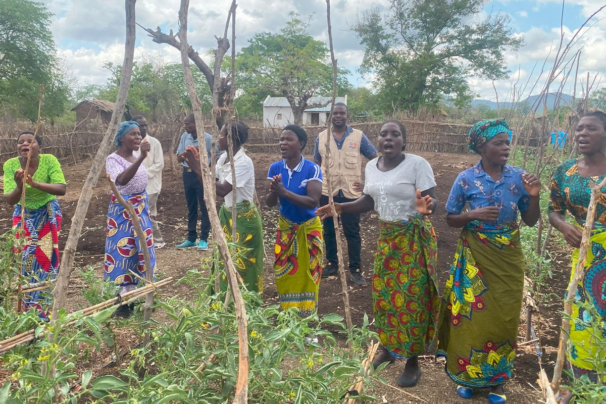 Kvinder fra Malawi står i deres tomatmark