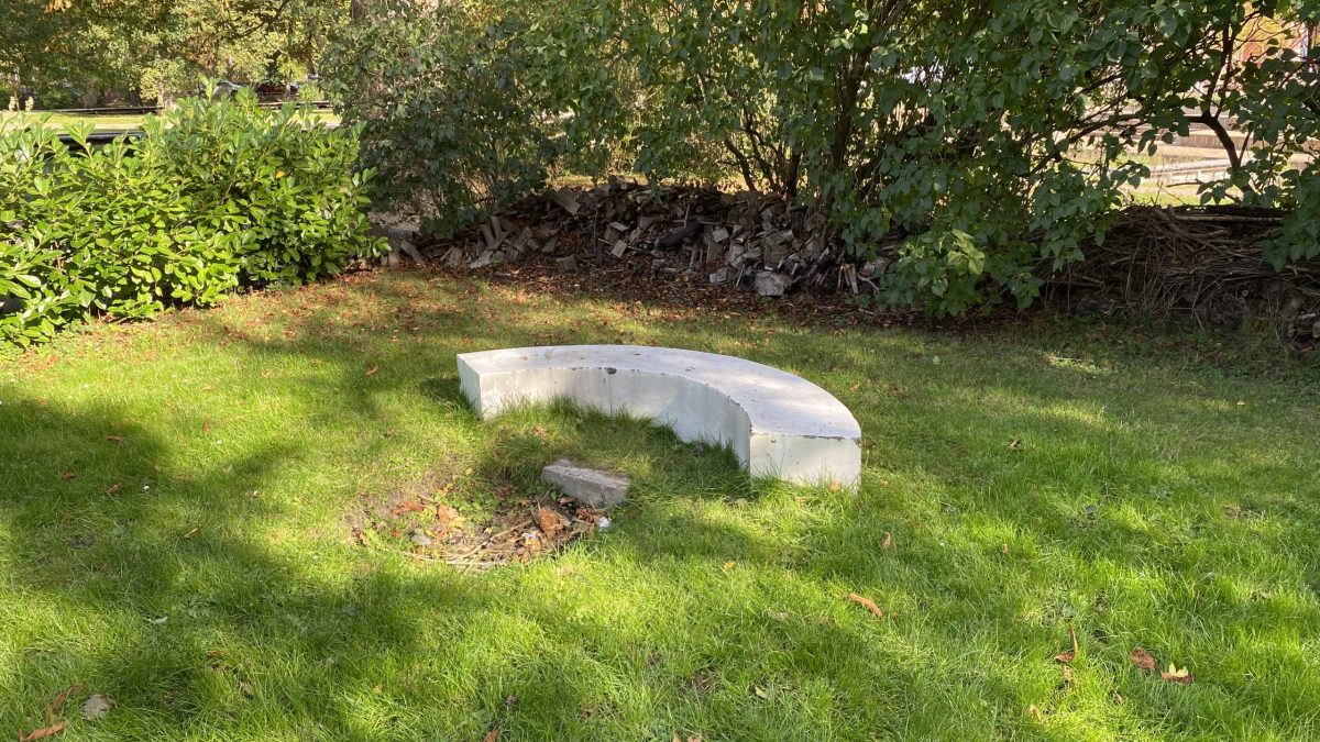 Udeareal Spejdercenter CPH