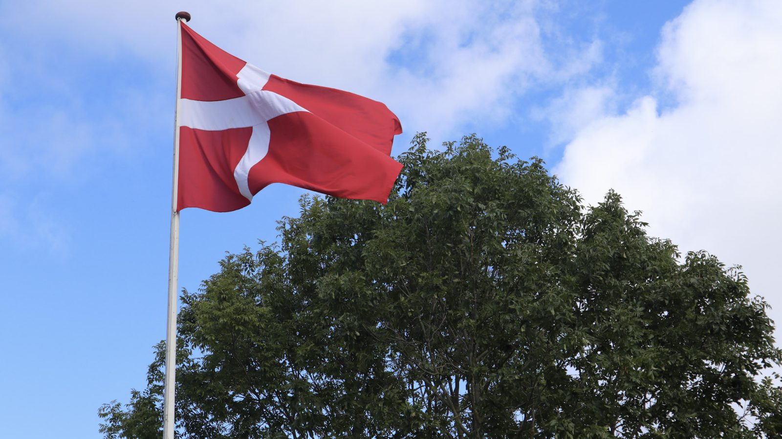 Dannebrog i flagstang