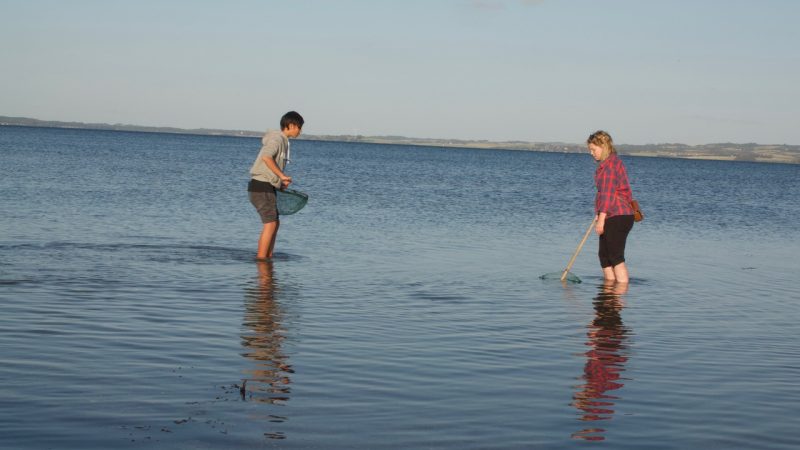 Kopi af Kopi af DSC02744 Fanger fisk i havet