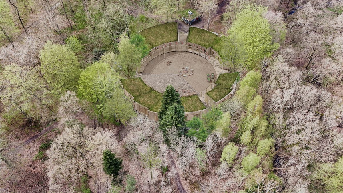 Visualisering_aksonmetri_Skoven Illustration af Skoven, af ReVærk