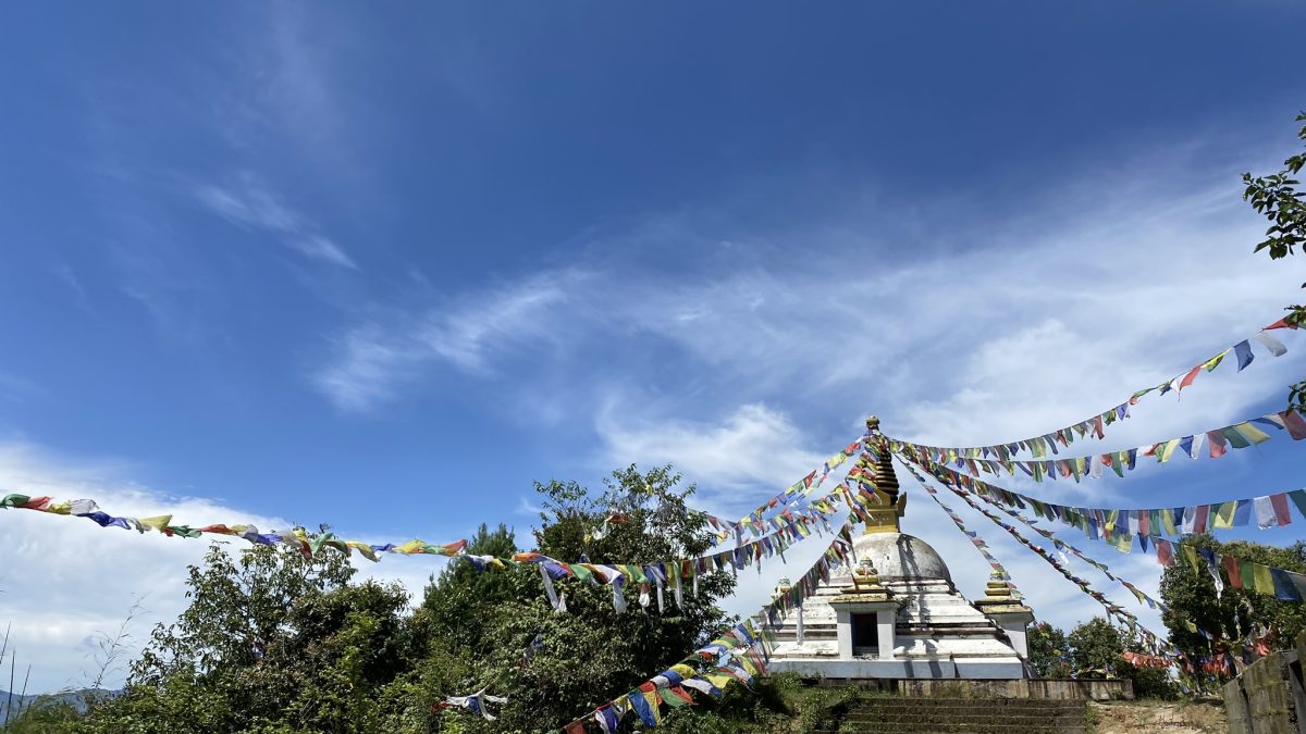 Nina Vølker Rosenlund Nina Vølker Rosenlund