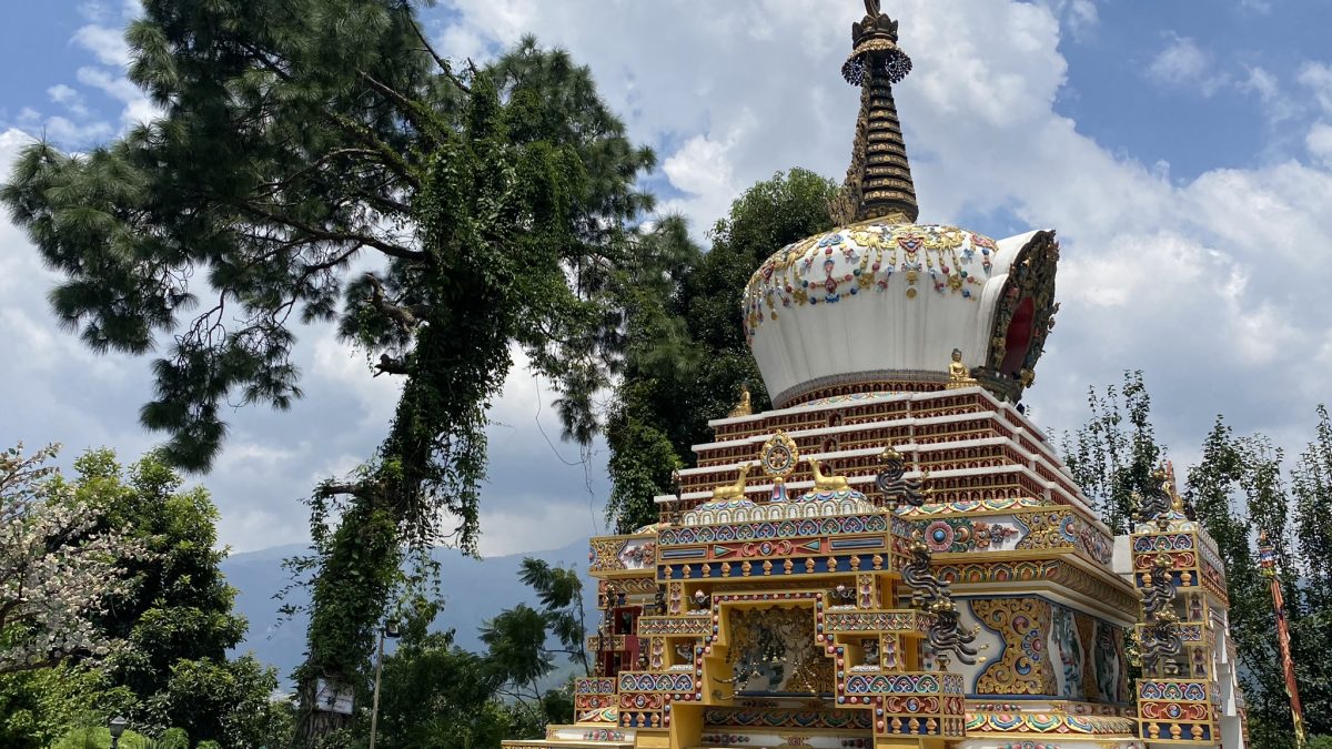 Nina Vølker Rosenlund Nina Vølker Rosenlund