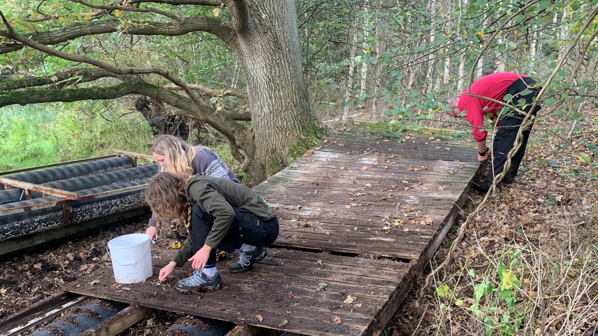 Tre personer skiller en tømmer flåde af