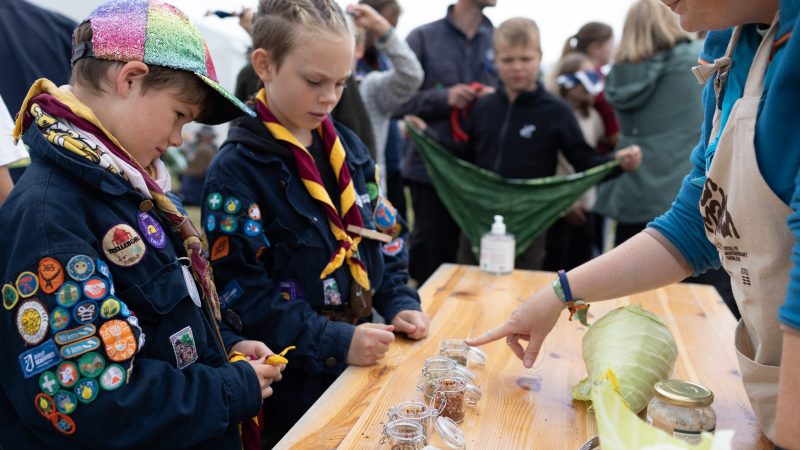 Spejderne fra Slagelse skal fermentere kål, og skal nu vælge hvilke krydderier som skal bruges. Aktiviteten er en del af projektet Naturen i maden, der varetages af spejderne og er støttet af Novo Nordisk fonden. Foto: Christian Bundgaard